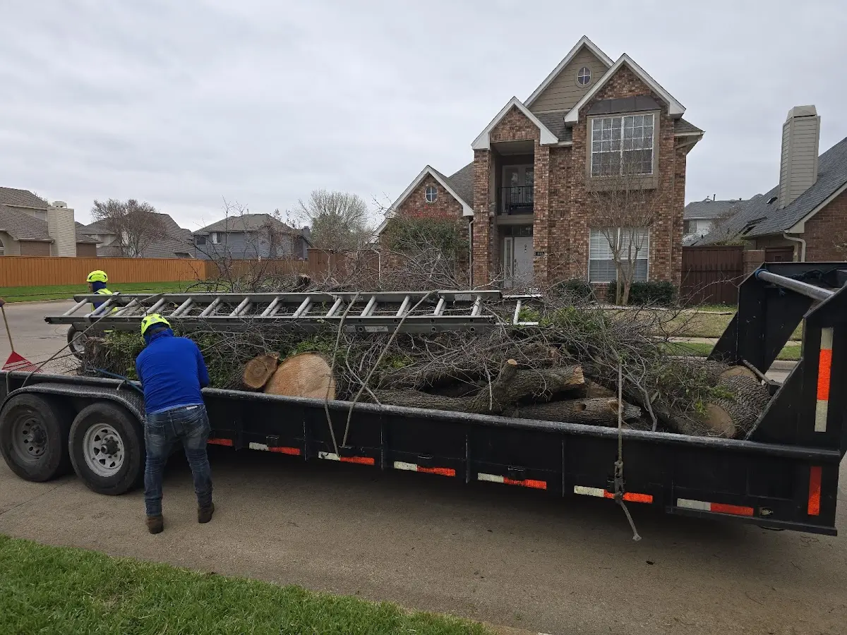 Expert Tree Removal with proper safety equipment in Stotts City